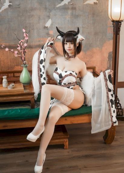 猫和老鼠全集_超清日韩电影在线