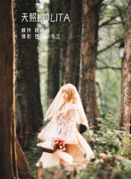光渊电视剧_高清完整版免费在线观看